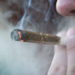 Canada Smokes online